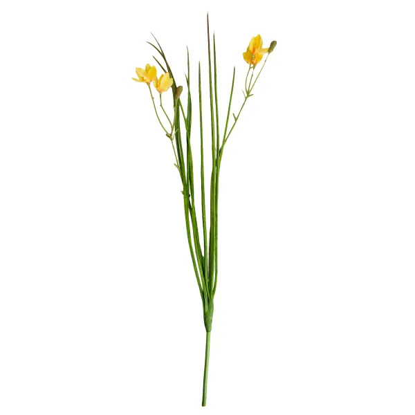Floare decorativa iris galben