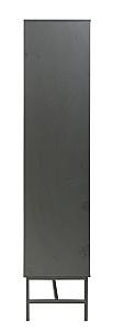 Шкаф merlin plus 100x50x184h