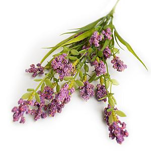 Ramura decorativa levantica