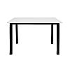 Стол TL-02 White/Black 110×68
