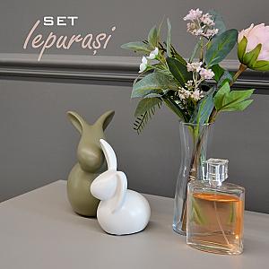 Set Figurine Iepurasi